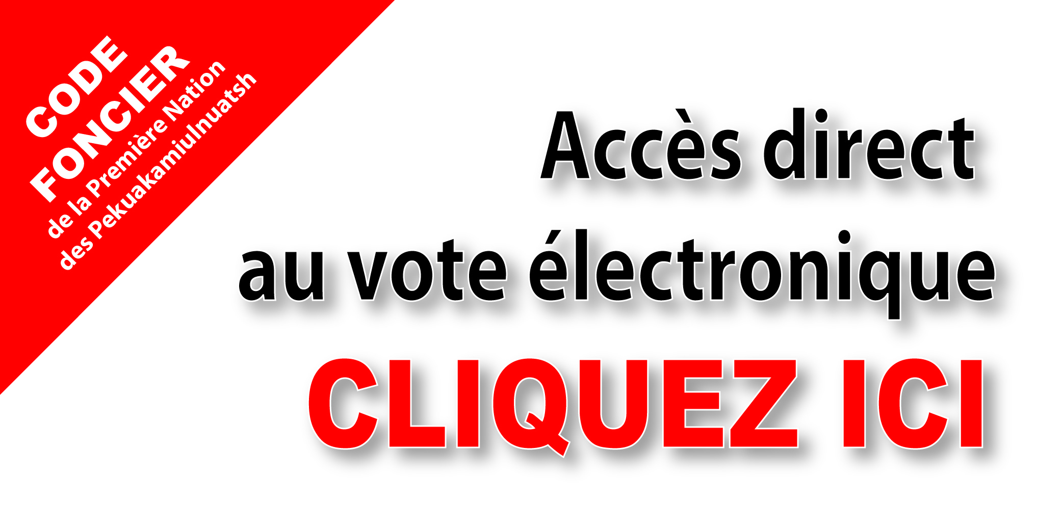 Acces direct au vote lectronique 01