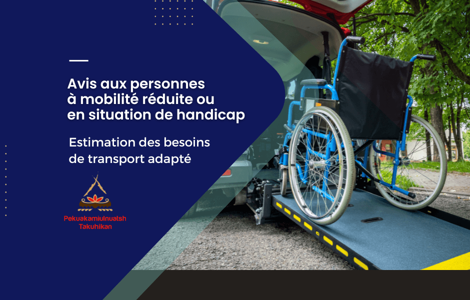 Estimation des besoins en transport adapté