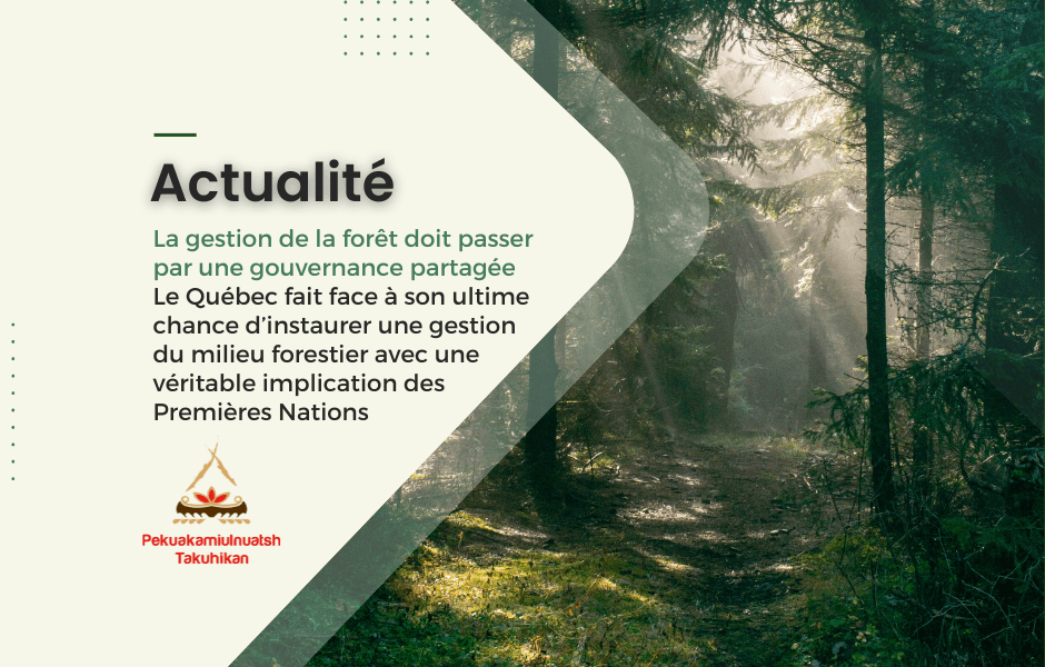 La gestion de la forêt doit passer par une gouvernance partagée : le Québec fait face à son ultime chance d’instaurer une gestion du milieu forestier avec une véritable implication des Premières Nations