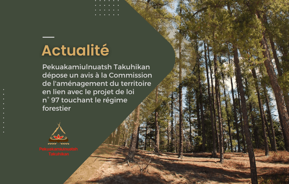 Pekuakamiulnuatsh Takuhikan dépose un avis à la Commission de l’aménagement du territoire en lien avec le projet de loi n° 97 touchant le régime forestier