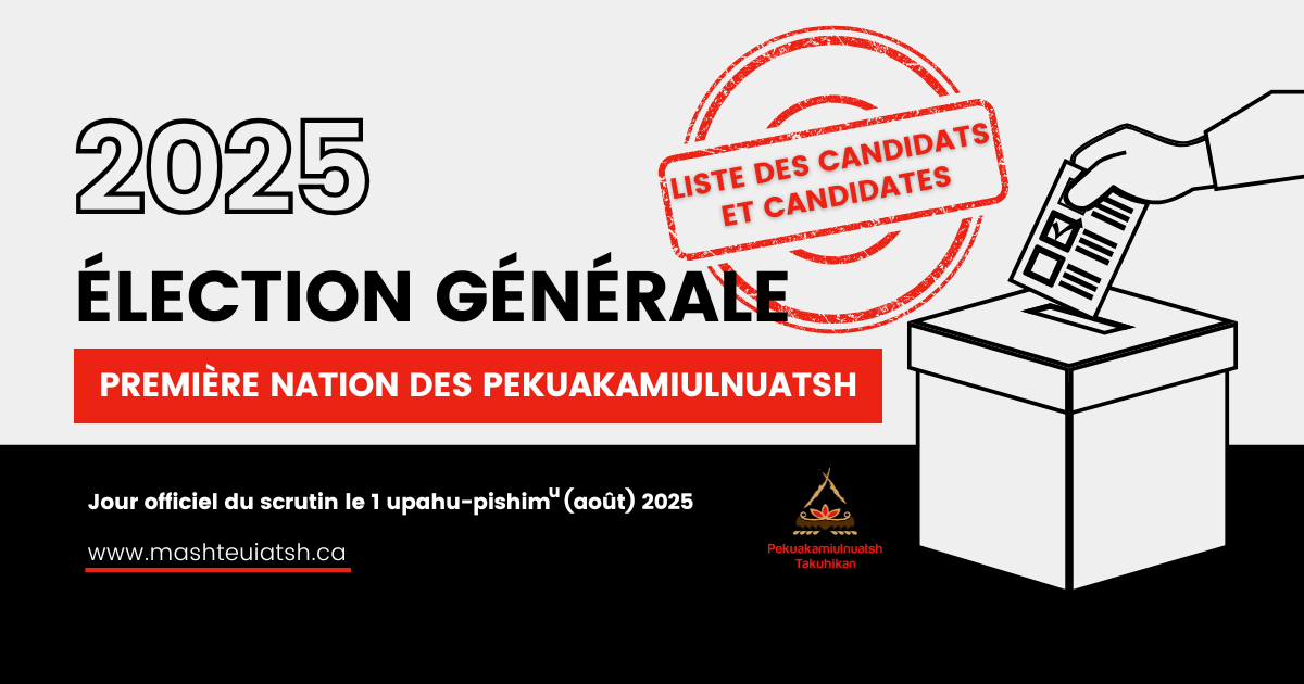 Liste des candidats et candidates