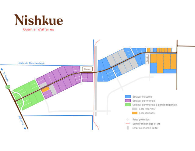 Carte des lots du Quartier Nishkue - Quartier d'affaire