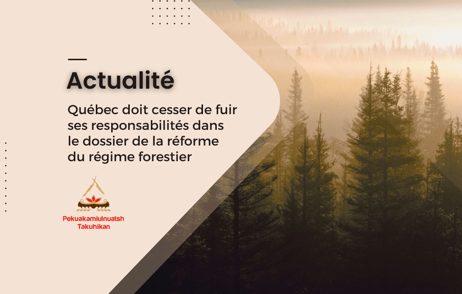 Pour les nouveaux élus de la Première Nation des Pekuakamiulnuatsh : Québec doit cesser de fuir ses responsabilités dans le dossier de la réforme du régime forestier