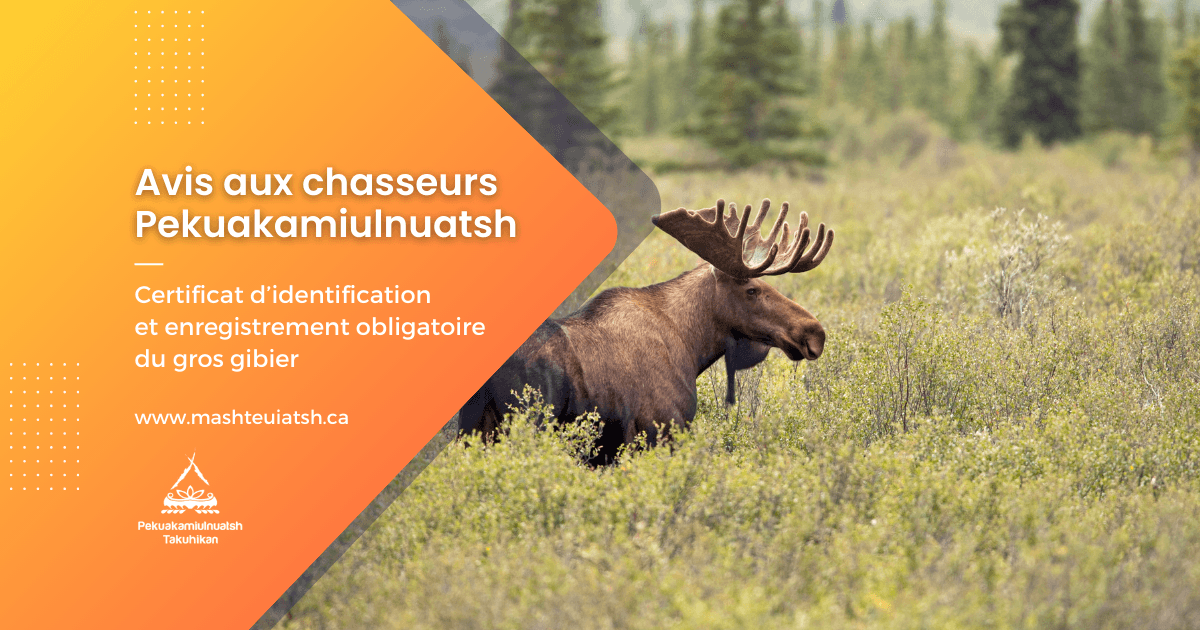 Avis aux chasseurs Pekuakamiulnuatsh