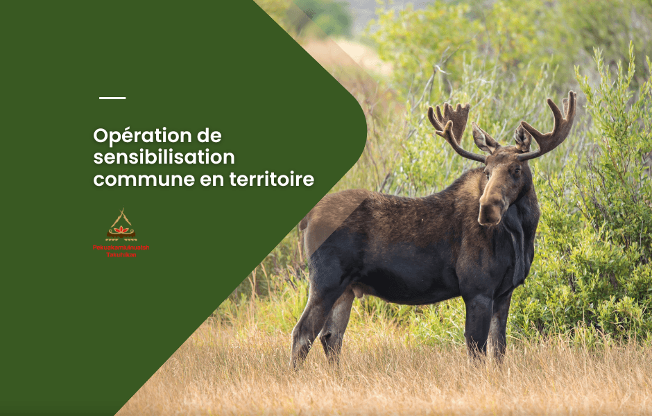 Opération de sensibilisation commune en territoire
