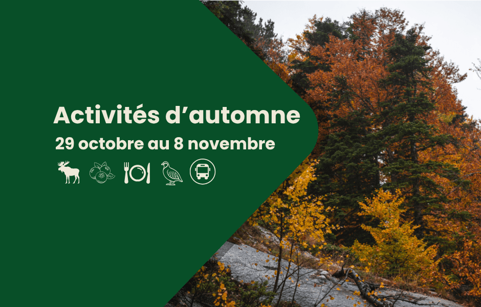 Sortie en territoire dans la Réserve faunique Ashuapmushuan