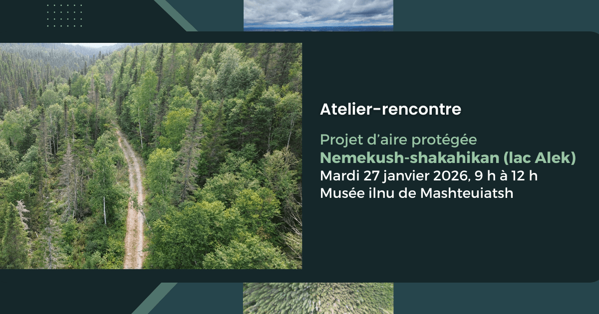 Atelier-rencontre sur le projet d’aire protégée Nemekush-shakahikan (lac Alek)