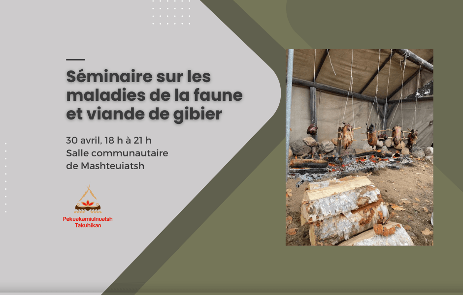 Séminaire sur les maladies de la faune et viande de gibier