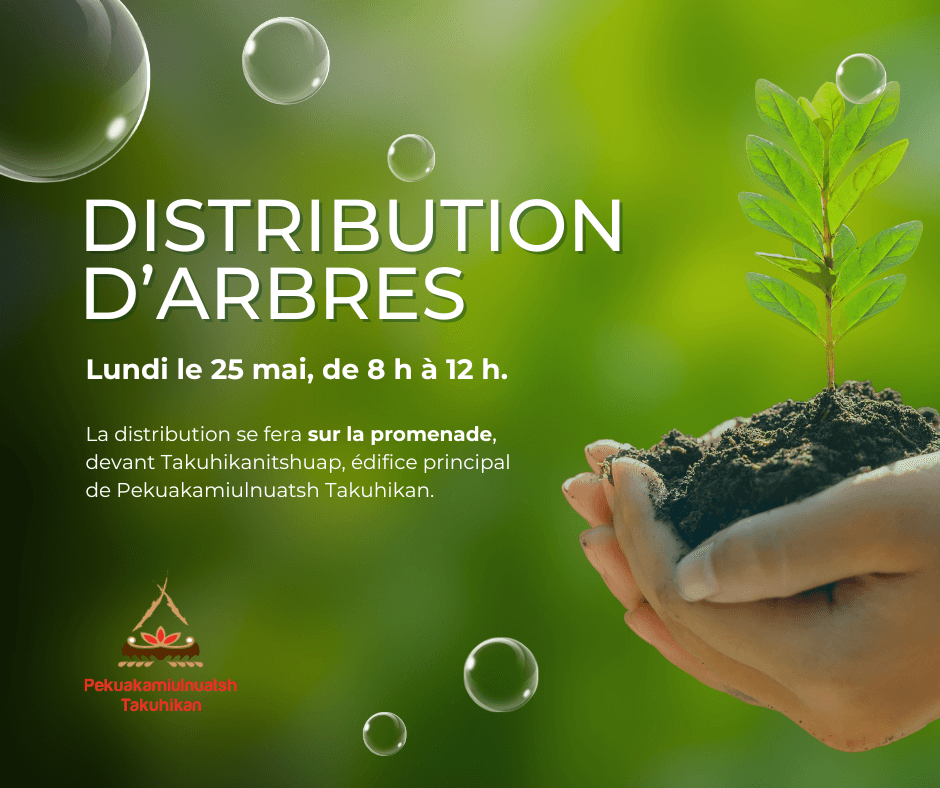 Distribution d’arbres