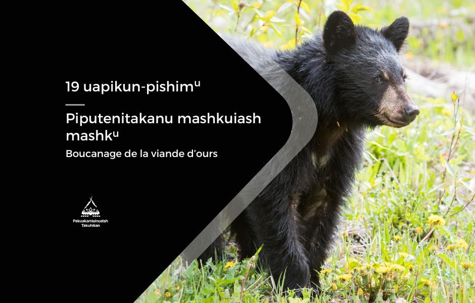 Boucanage de la viande d’ours | Piputenitakanu mashkuiash mashku