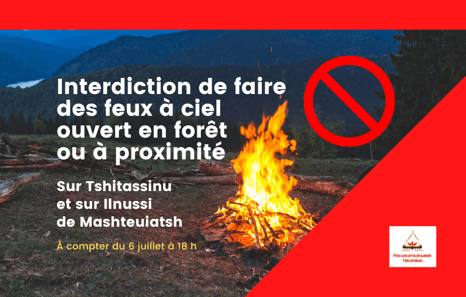 Interdiction de faire des feux à ciel ouvert en forêt ou à proximité