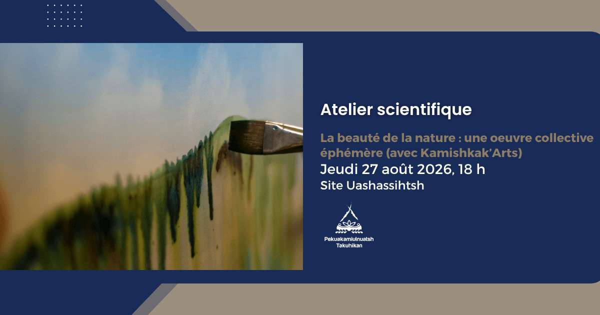 Atelier La beauté de la nature : une œuvre collective éphémère (avec Kamishkak’Arts)