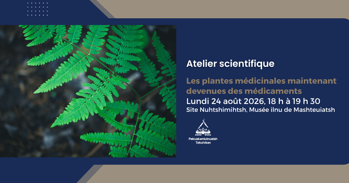 Atelier Les plantes médicinales maintenant devenues des médicaments