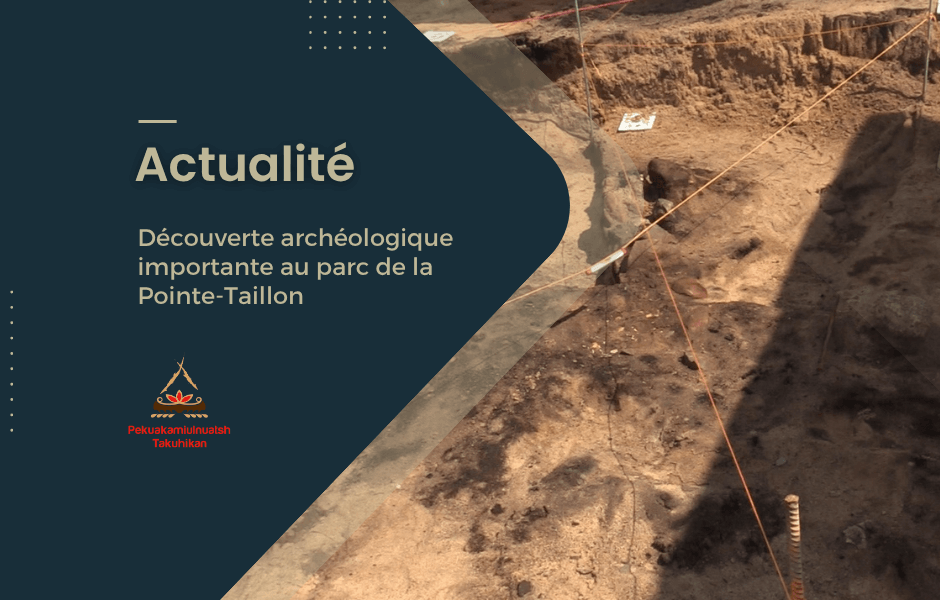Découverte archéologique importante au parc de la Pointe-Taillon