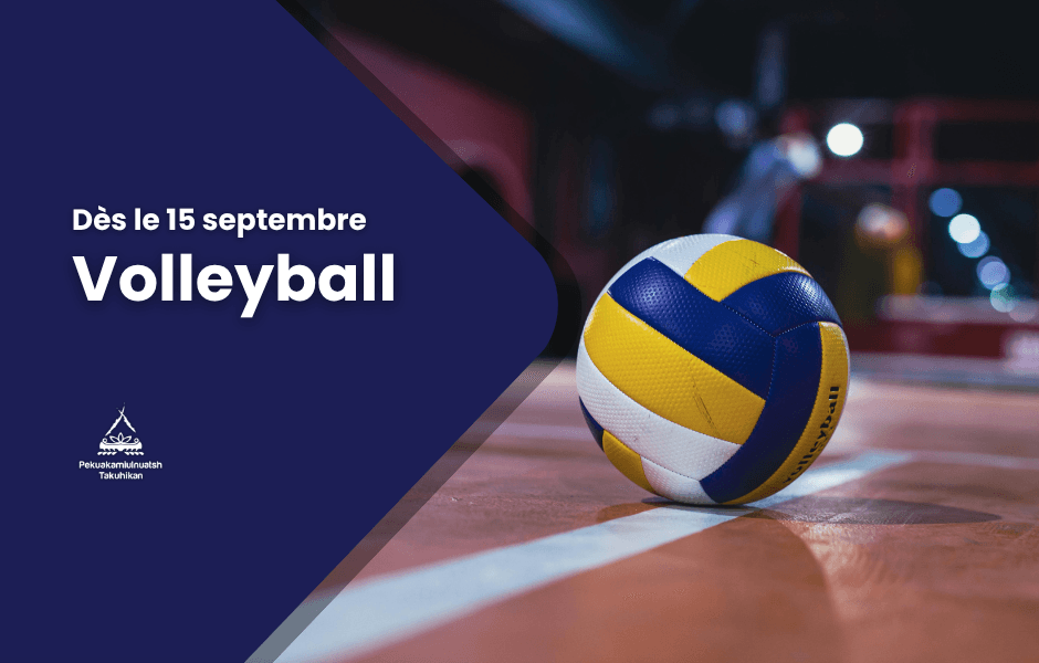 Volleyball