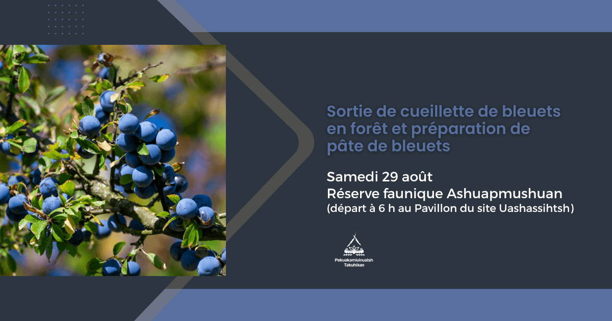 Sortie de cueillette de bleuets en forêt et préparation de pâte de bleuets – Réserve faunique Ashuapmushuan