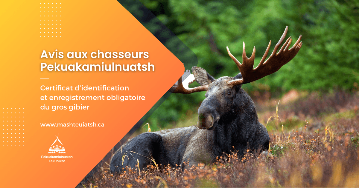 Avis aux chasseurs Pekuakamiulnuatsh