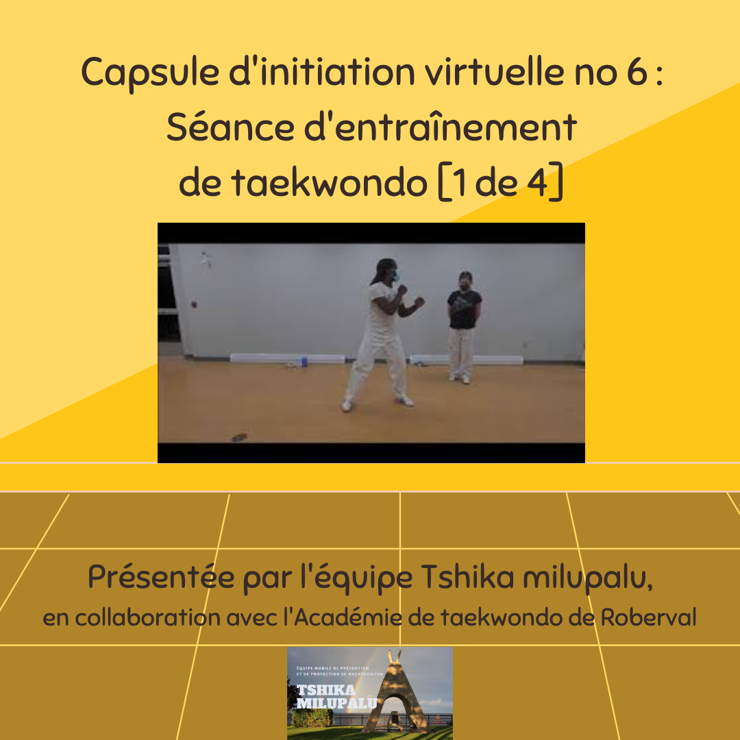 Capsule dinitiation virtuelle no 6 Sance dentranement de taekwondo 1 de 4